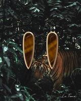 Tiger’s Eye Claw Earrings